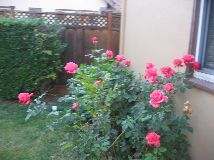 IMG_0093.JPG