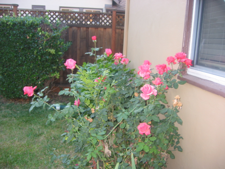 IMG_0094.JPG