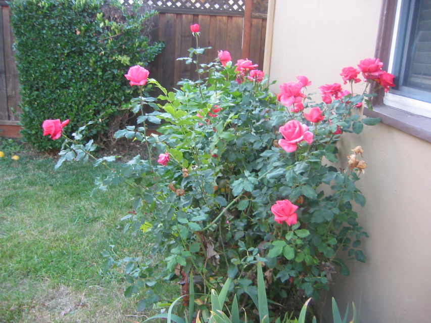 IMG_0097.JPG