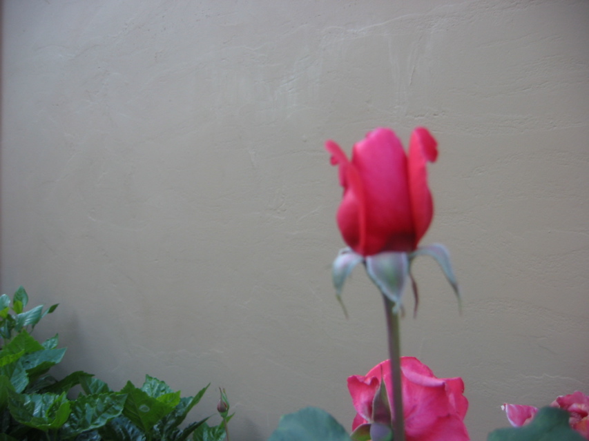 IMG_0099.JPG