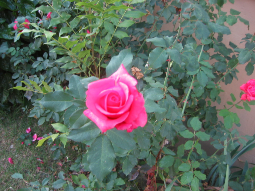 IMG_0102.JPG