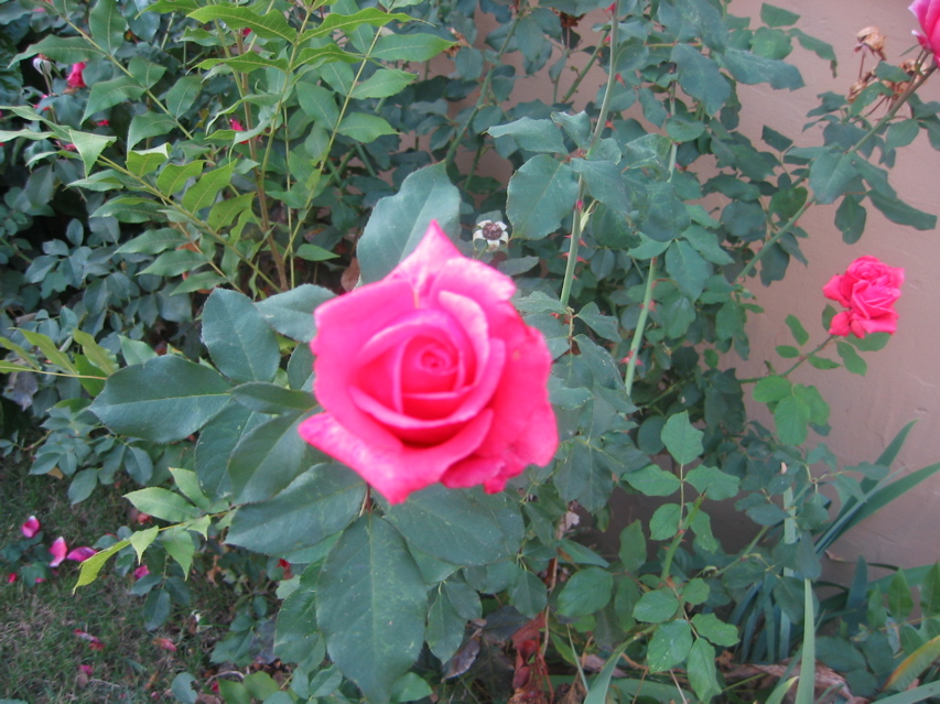 IMG_0103.JPG