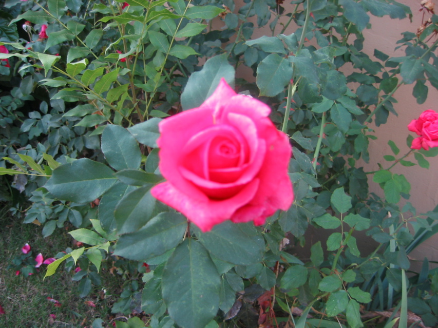 IMG_0105.JPG