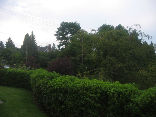 STB_9628.JPG