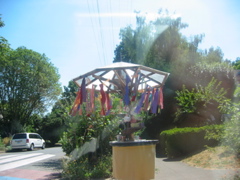 IMG_9538.JPG