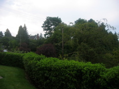STB_9628.JPG