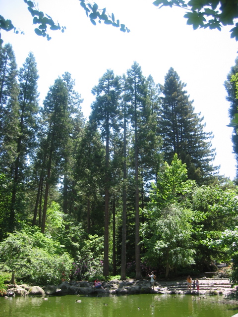 IMG_6458.JPG