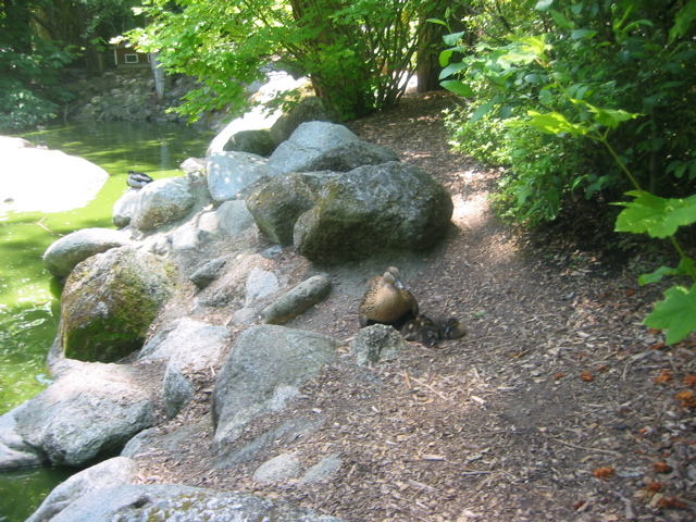 IMG_6477.JPG