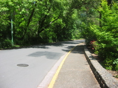 IMG_6509.JPG