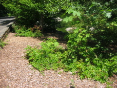 IMG_6510.JPG