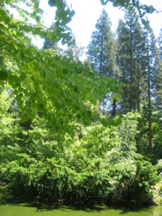 IMG_6459.JPG