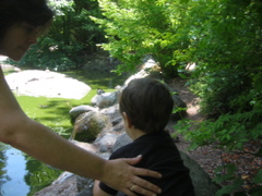 IMG_6464.JPG