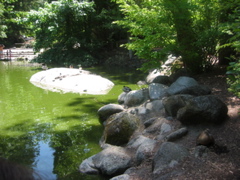 IMG_6476.JPG