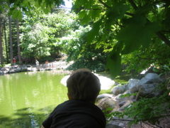 IMG_6480.JPG