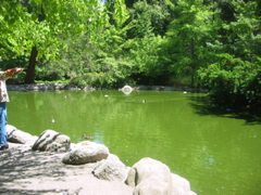 IMG_6488.JPG