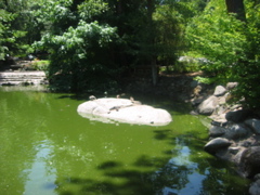 IMG_6492.JPG
